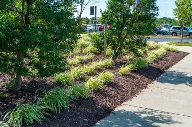 Commercial Landscape Maintenance in Glenwood, MD