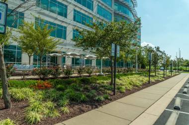 Landscape Installation in West Friendship