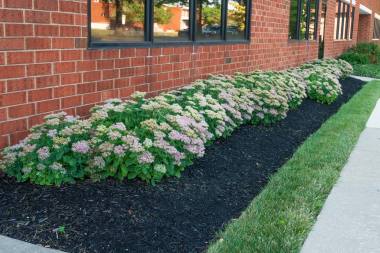 Landscape Maintenance in Clarksville, MD