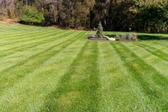 Landscaping Services in Glenelg