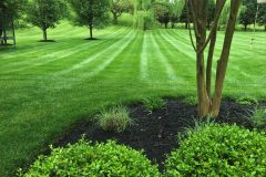 Landscape Design in Ellicott City