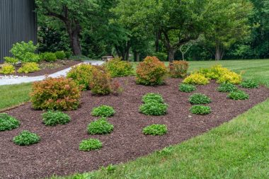 Landscape Installation in Dayton, MD