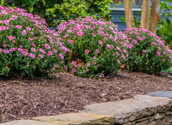 Residential Landscape maintenance in Ellicott City, MD