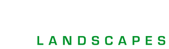 Absolute Landscapes